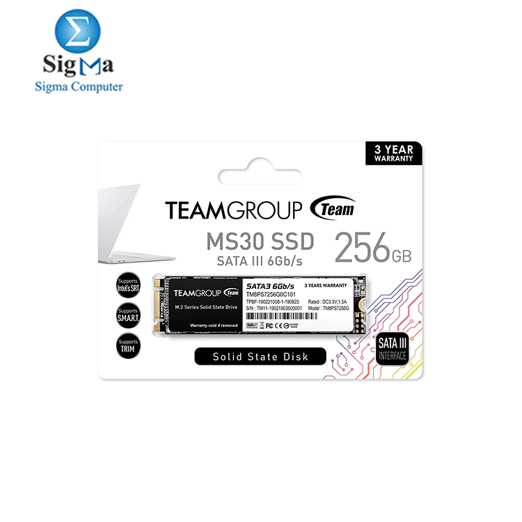 TEAMGROUP MS30 256GB SATA Rev. 3.0  6Gb s  M.2 Internal Solid State Drive SSD  Read Write Speed up to 550 470 MB s  