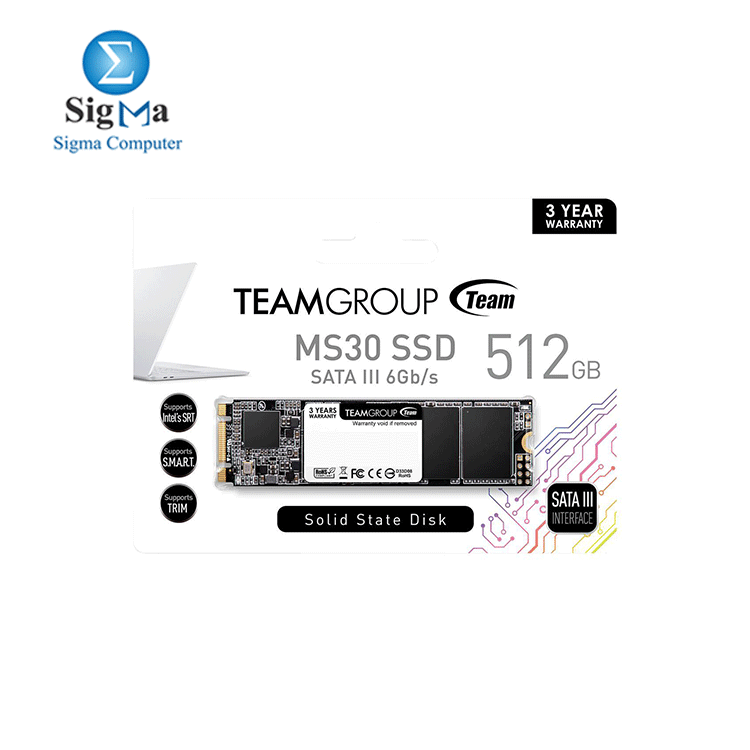 Team Group MS30 M.2 2280 512GB SATA III TLC Internal Solid State Drive  SSD 