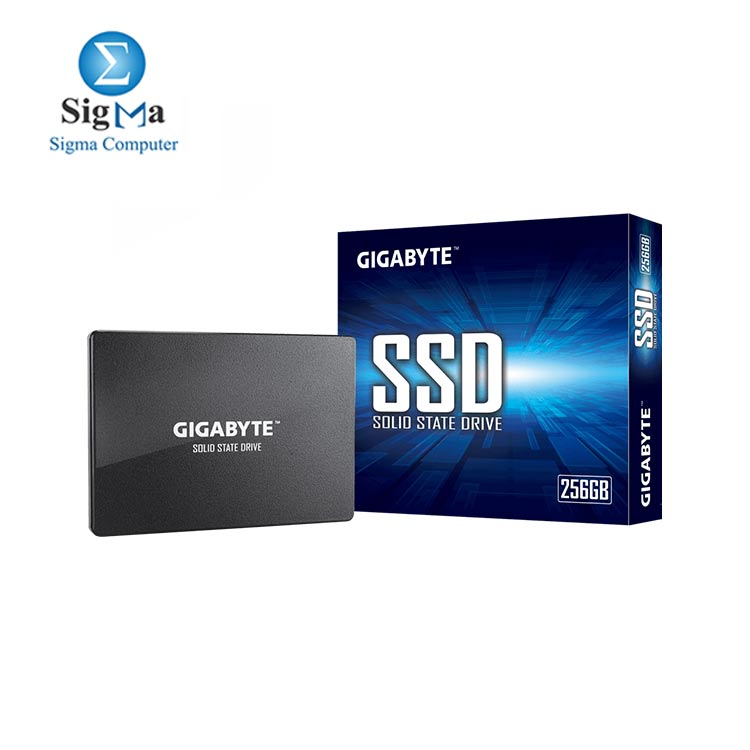 GIGABYTE SSD 256GB 2.5-inch internal SSD