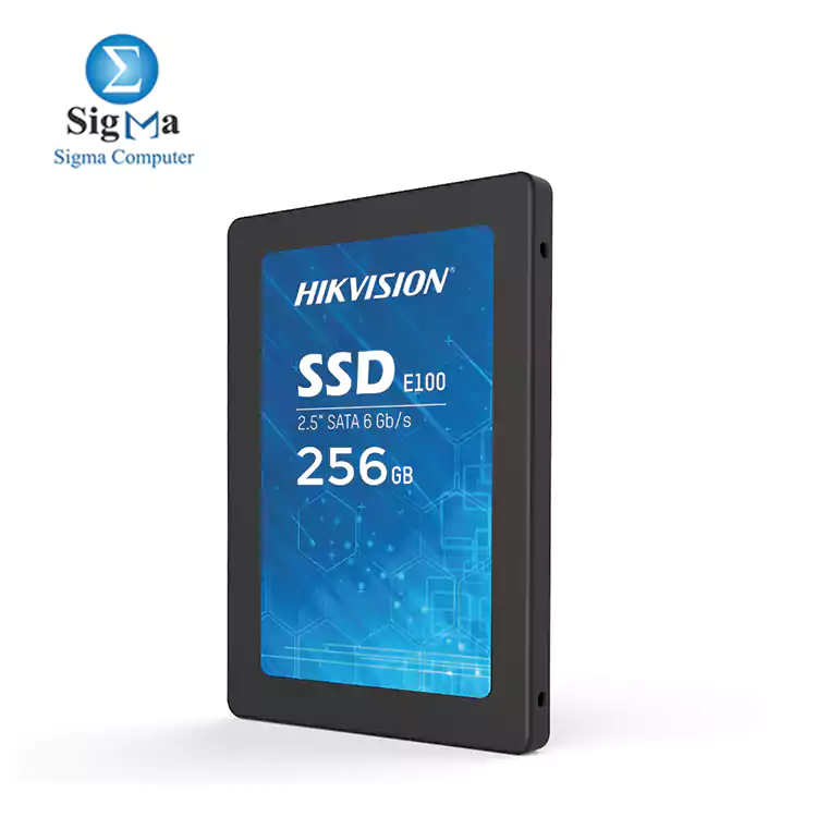 HikVision SSD E100 256GB Solid State Drive 