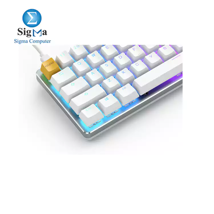 Glorious Keyboard GMMK Compact Mechanical Gaming Brown Switch RGB White Ice (GLO-GMMK-COM-BRM)