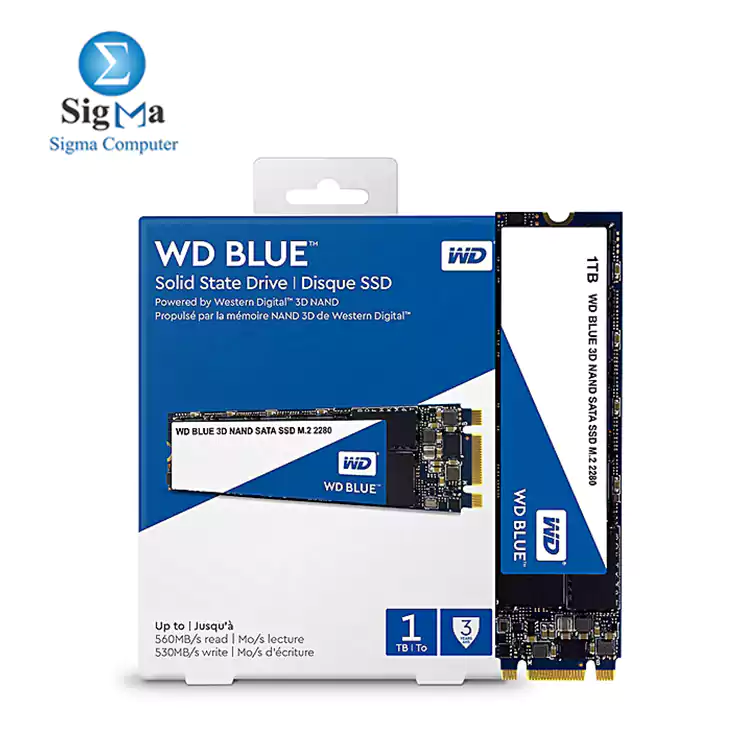 WD Blue 3D NAND 1TB Internal SSD - SATA III 6Gb/s M.2 2280 Solid State Drive - WDS100T2B0B