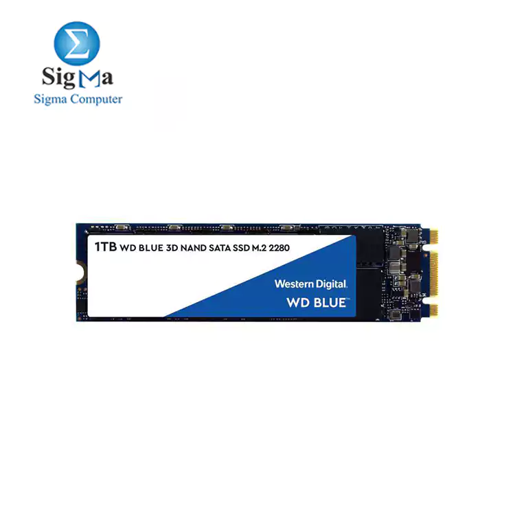 WD Blue 3D NAND 1TB Internal SSD - SATA III 6Gb/s M.2 2280 Solid State Drive - WDS100T2B0B