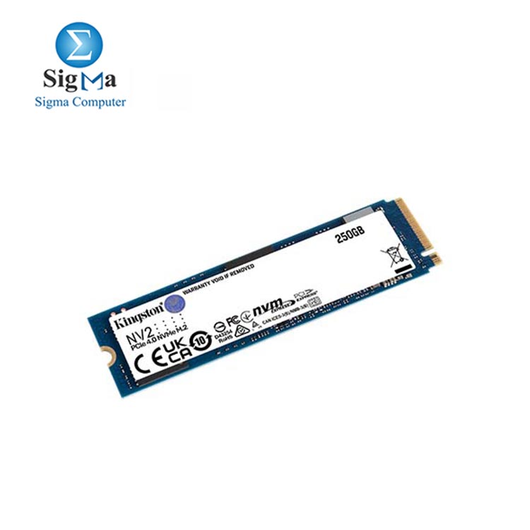 Kingston NV2 250GB NVMe PCIe SSD  SNV2S 250G 