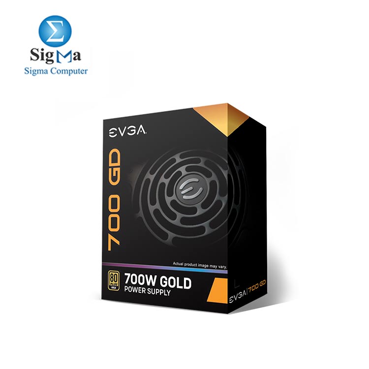 Evga ATX 700W GD 80 Plus Gold 100-GD-0700-V2 Power Supply