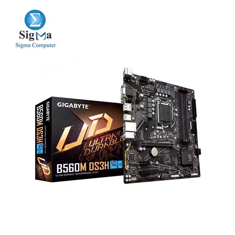 GIGABYTE B560M DS3H (rev. 1.0) - Main view