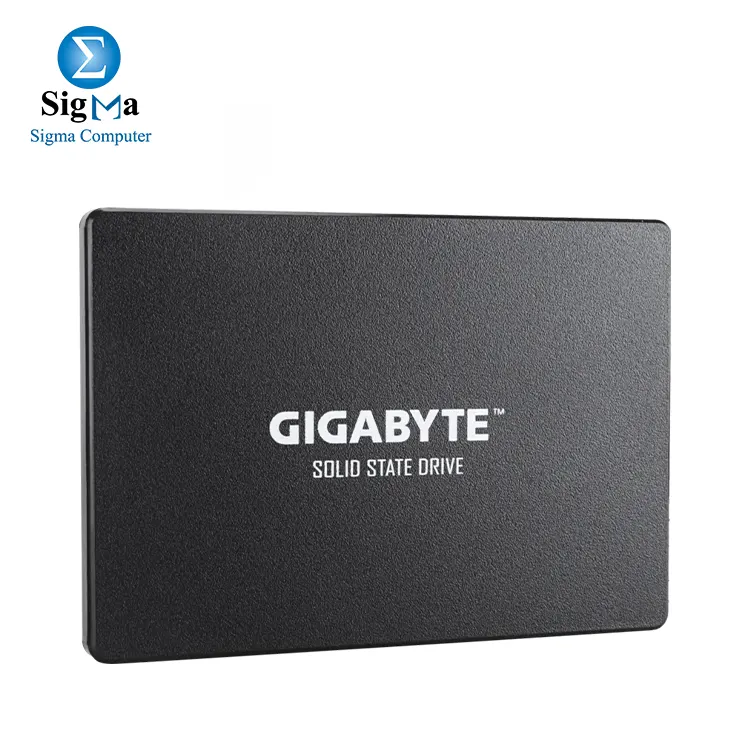GIGABAYT GSTFS31 1TB Up to 550/500MB/s - Main view