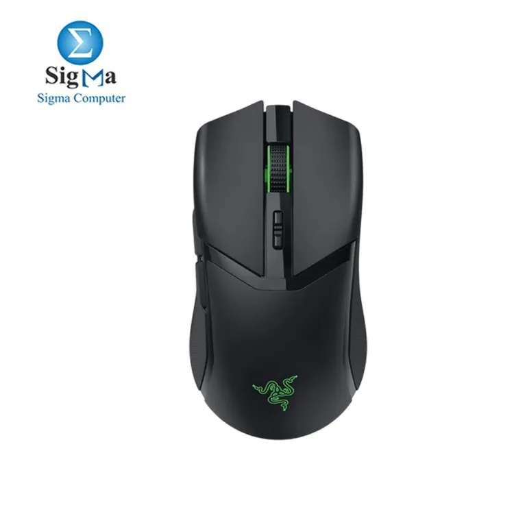 RAZER Cobra Pro RZ01-04660100-R3G1 - Main view