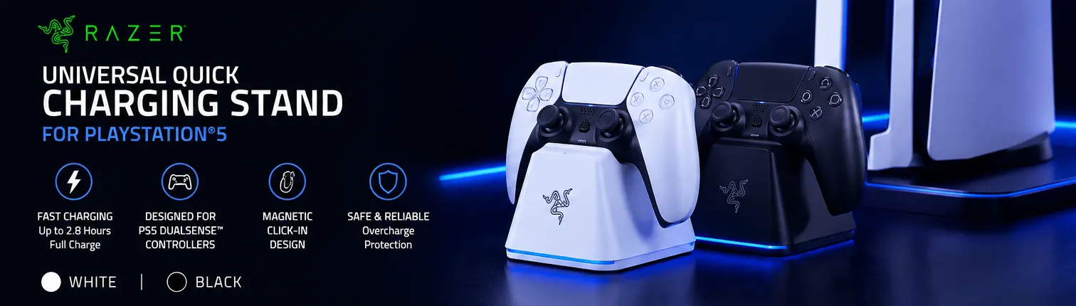 PlayStation 5 Accessories