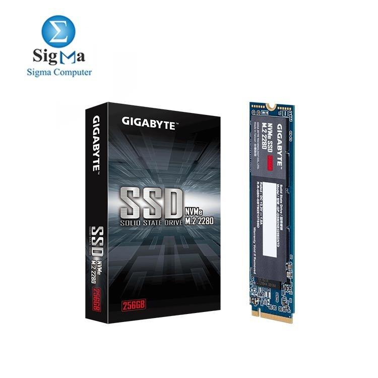 GIGABYTE NVMe m.2 SSD 256GB - Main view