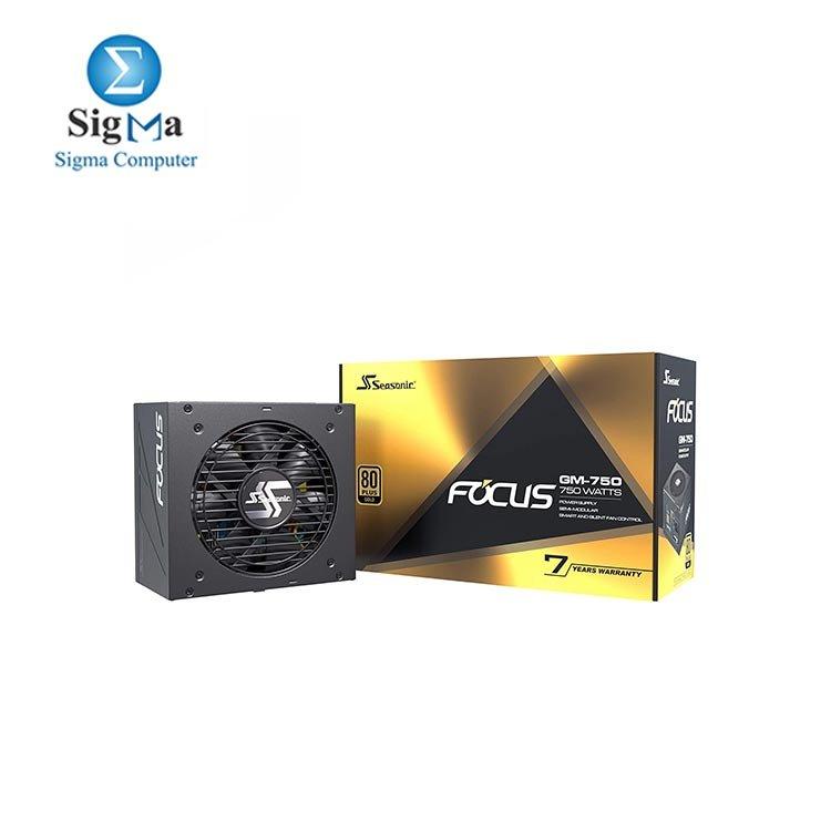 Seasonic FOCUS GM-750, 750W 80+ Gold, Semi-Modular - Main view