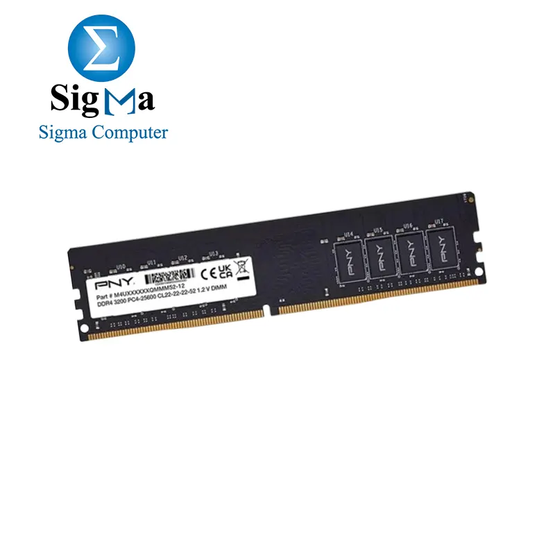 PNY Performance 16GB RAM DDR4 3200MHz CL22 1.2V Memory Module - PNY ...