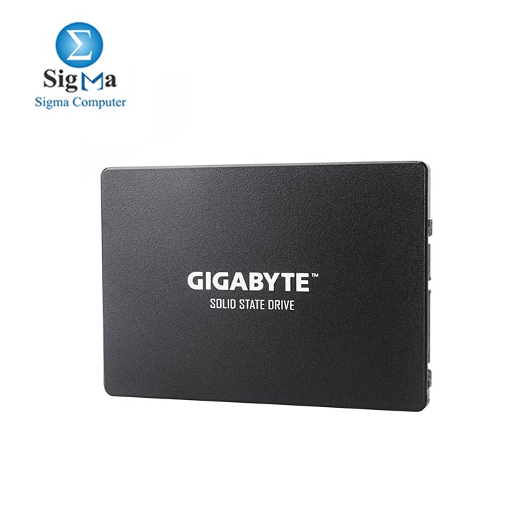GIGABYTE SSD 256GB 2.5-inch internal SSD