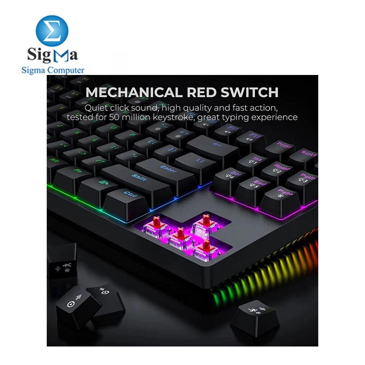 HAVIT KB489L TKL Mechanical Keyboard With 87 Keys Led Rainbow Backlit Black Red Switch