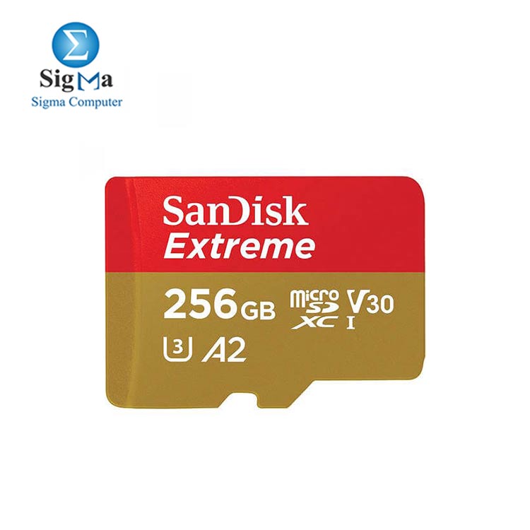SANDISK EXTREME MICRO SDXC-256G-MEMORY CARD-SDSQXAV-GN6MN