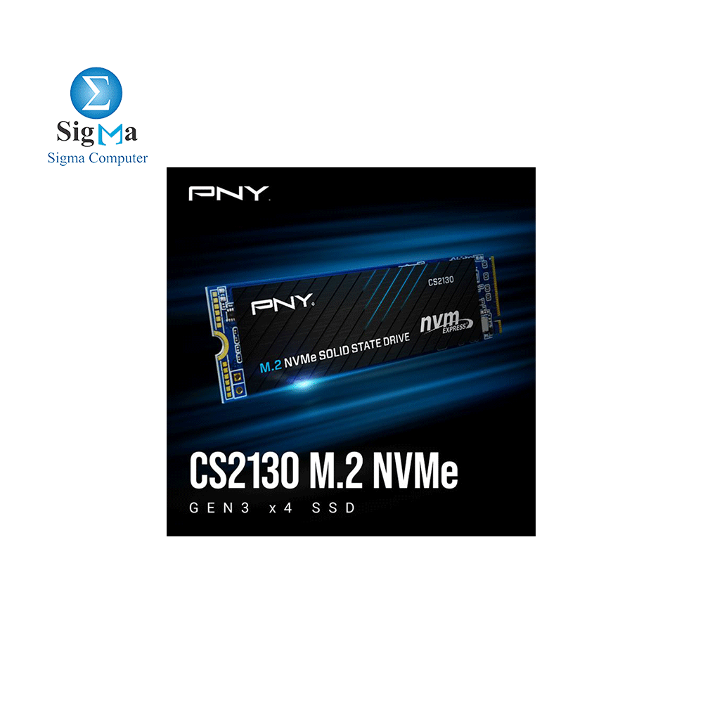 PNY-SSD-CS2130 1TB M.2 PCIe NVMe Gen3 x4 Internal Solid State Drive