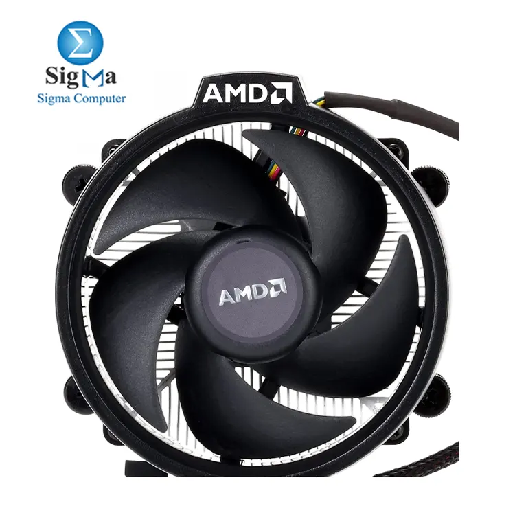 AMD Ryzen 5 5600X 6-core  12-thread processor with up to 4.6 GHz boost  32 MB L3 cache  65W TDP  PCIe 4.0  DDR4 support  and requires a discrete GPU
