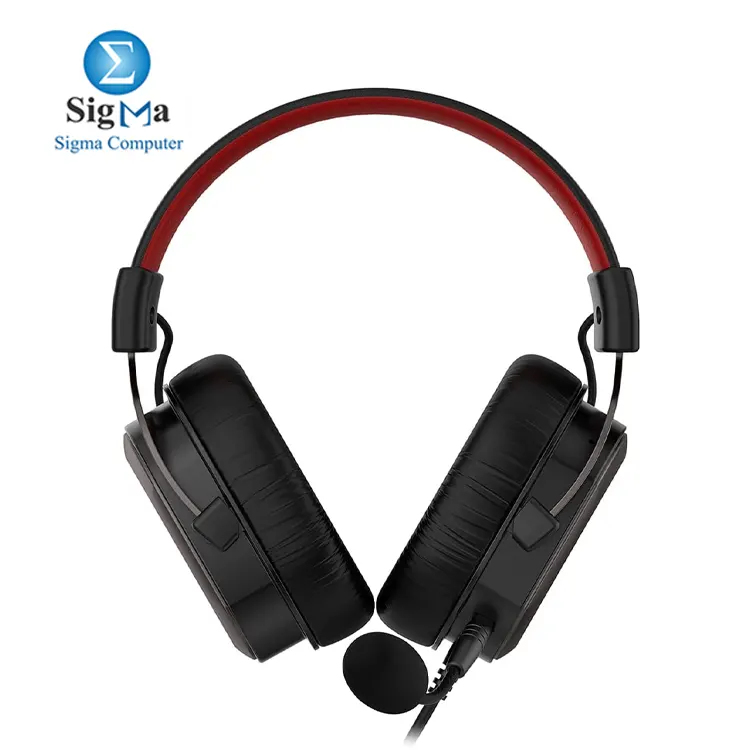 Havit H2008D     Wired gaming headset with 50MM magnetic drivers  detachable mic  protein earmuffs  and adjustable headband