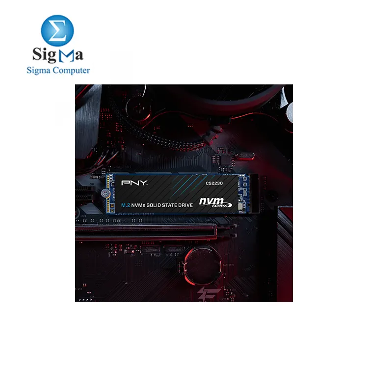 PNY CS2230 1TB M.2 NVMe SSD     PCIe Gen3 x4  up to 3 300 MB s read  2 600 MB s write  3D NAND  compact 2280 form factor