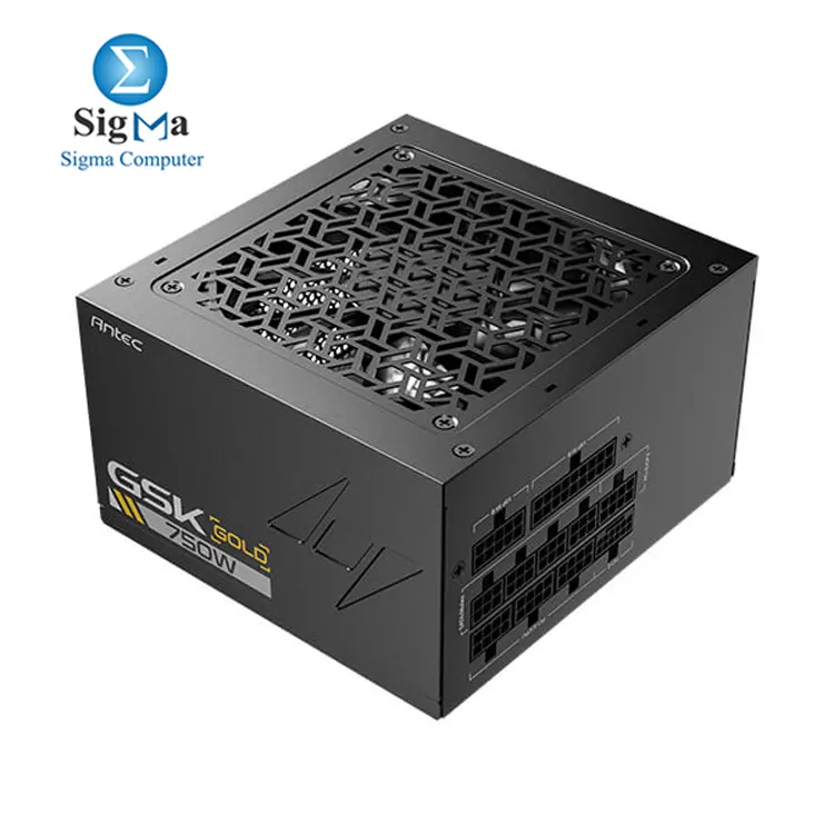 Antec GSK750 ATX3.1 – 750W, 80 PLUS Gold, Full Modular, ATX 3.1, 120mm Silent Fan , PCIE 5.1